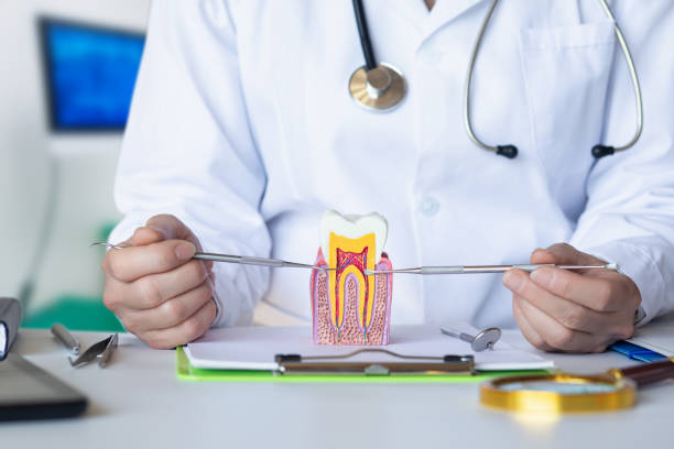 Best Emergency Treatment for Dental Infections or Abscesses in Saratoga Springs, UT